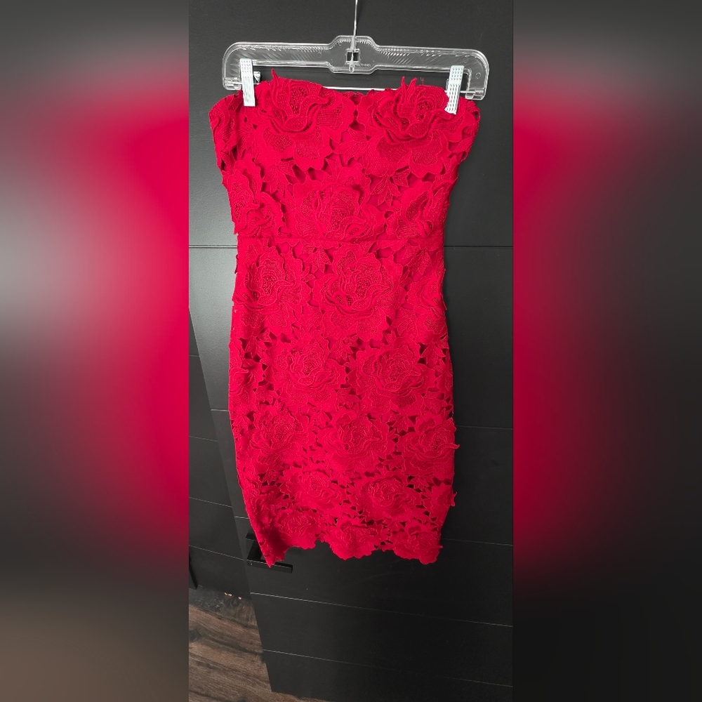 Express- Elegant Red Lace Dress